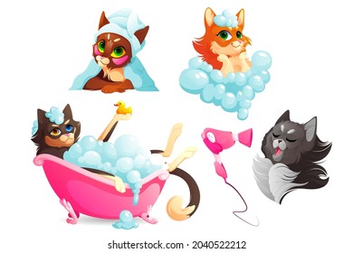 Cats or dogs spa and grooming service, funny kittens and puppies enjoying salon procedures, pets dry hair with fan and towel, take bath in tub with shampoo bubbles and rubber duck. Cartoon vector set