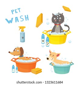 cats and dogs wash set