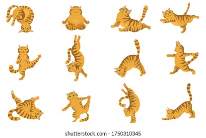 Cats doing yoga. Different yoga poses and exercises. Striped and tabby cat colors. Vector illustration