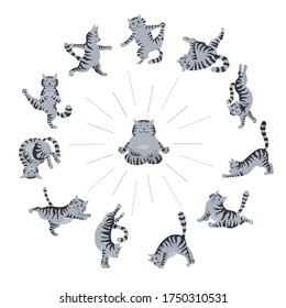 Cats doing yoga. Different yoga poses and exercises. Striped and tabby cat colors. Vector illustration
