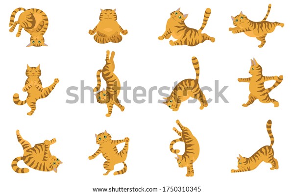 Cats Doing Yoga Different Yoga Poses Stock Vector (royalty Free 