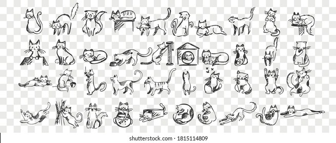 Cats doodle set  Collection hand drawn pencil sketches templates patterns adorable pets kitten kitty sleeping stretching playing and ball hiding in box basket  Illustration dmestic animals 