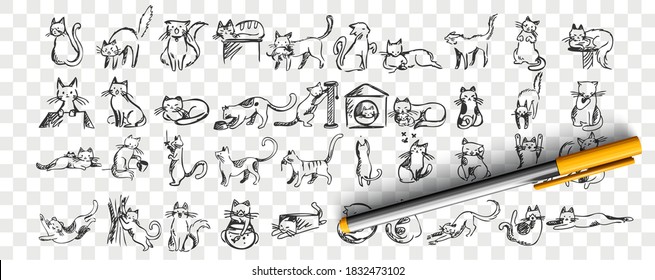 Cats doodle set. Collection of hand drawn pencil sketches templates patterns of adorable pets kitten kitty sleeping stretching playing with ball hiding in box or basket. Illustration dmestic animals.