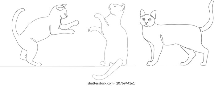 cats drawing one line isolated, vector