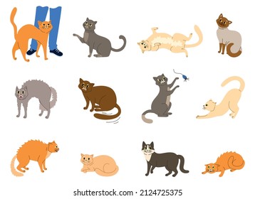 Cats emotions body language set flat isolated vector illustration