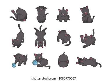 Cat's emotions collection