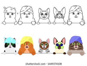 cats enjoying spa in a row
