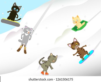Cats are enjoying winter sports.