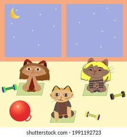 Cats exercise in the fitness room. Vector flat illustration.