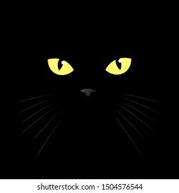 cat's eye of a black cat. eyes of a yellow cat in the dark. Vector illustration