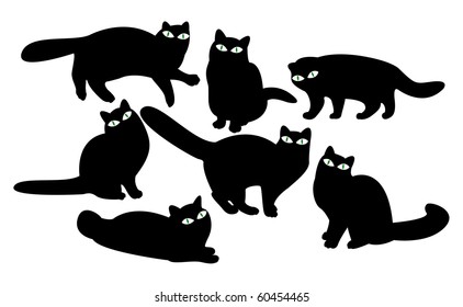 Cats with eyes