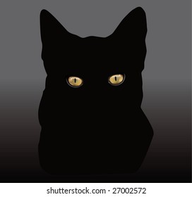 Cat's eyes glowing in the dark