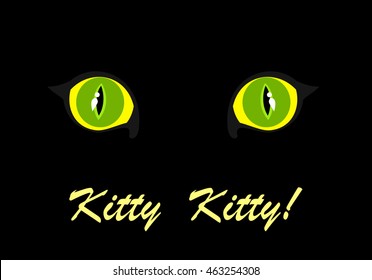 Cat's eyes glowing in the dark