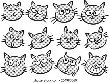 cats face