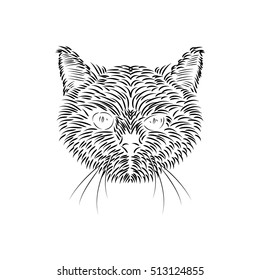 Cat's face. Vector illustration.