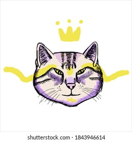 Cat's face vector sketch. Stylized modern hand drawn illustration. It may be used for design of a t-shirt, a bag, a postcard, a poster.