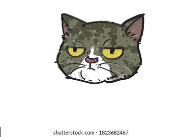 cats faces with bored emotion