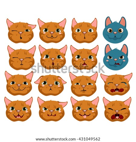Cats faces with different emotions isolated on a white background. Vector cartoon close-up illustration.