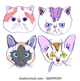 cats faces drawing in cartoon style