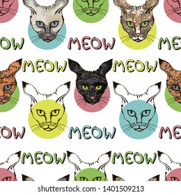 Cats faces seamless pattern vector with text