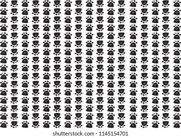 cat's feet background