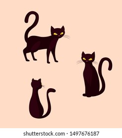 cats feline animals of halloween