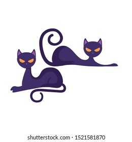cats feline animals of halloween vector illustration design