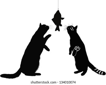 cats and fish  isolated on a white background