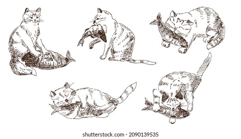 Gatos con pescado. Ilustración vectorial, boceto.