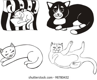 cats, fluffy, sleeping