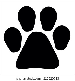 cat's footprint