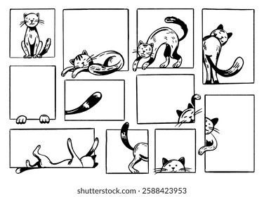 Cats in frames. Simple style hand drawn kittens in windows. Childish drawing cat, banners with pets. Animals rest, play, sleeping, doodle neoteric vector set