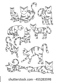 Cats. Funny cats. Playing cats. Kittens. Zentangl. Line art. Drawing by hand. Graphic arts. Decorative. Stylized. Doodle. Set. Isolated. Black and white drawing by hand.