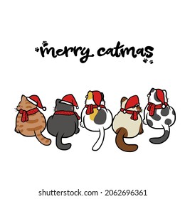 Cats gang wear Santa hat  Merry Catmas cartoon vector illustration	