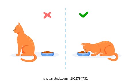 Cats With Good And Bad Appetite. Picky Cat Refusing To Eat And Hungry Cat Eating Food In Bowl. Feeding Pet Problem Concept. Flat Style Vector