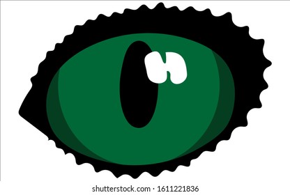 Cat's green eye. Image on a white background.