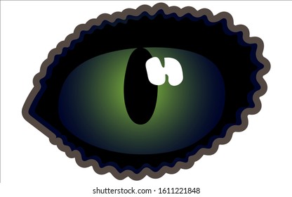 Cat's green eye. Image on a white background.