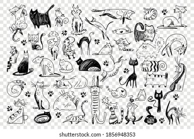 Cats hand drawn doodle set