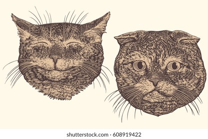 Cats. Hand drawn engraving. Vector vintage illustration. Isolated on color background. 8 EPS