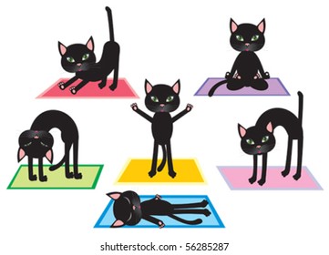 cats hat-ha yoga