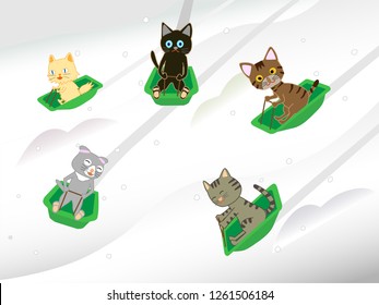 Cats are having fun and skipping on a sled.