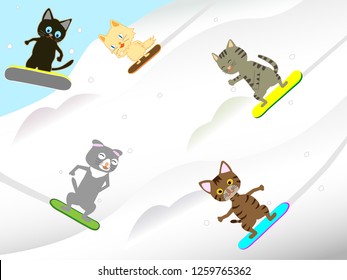 Cats are having fun snowboarding.