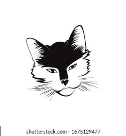 Cat's head against a white background