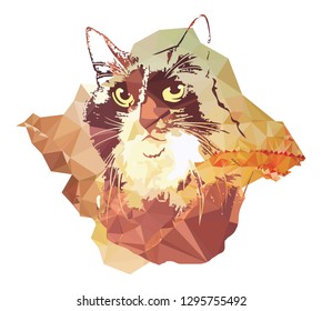 Cat's head close up on a polygonal background.