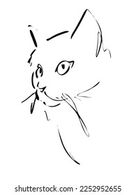 Cat's head drawn in ink, vector illustration, quick sketch, line art