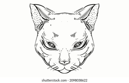 Cat's head on a white background. A predatory beast bared its teeth.