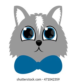 cat's head on a white background