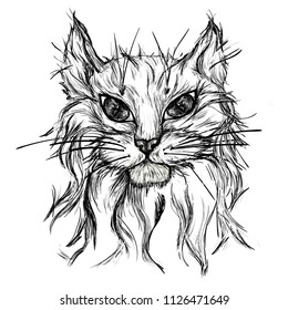 The cat's head is painted white and gray. Head of a furry cat on a white background. A painted portrait of a cute cat. An animal, a kitten, a draft of domestic animals. vector illustration Cat tattoo.