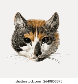 Cat's head sticker, Jean Bernard's vintage illustration, isolated vector element. 