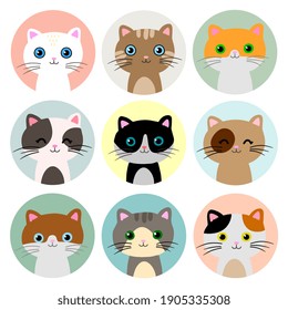 Cats heads in colorful circle design. Collection of cute and funny animals.
